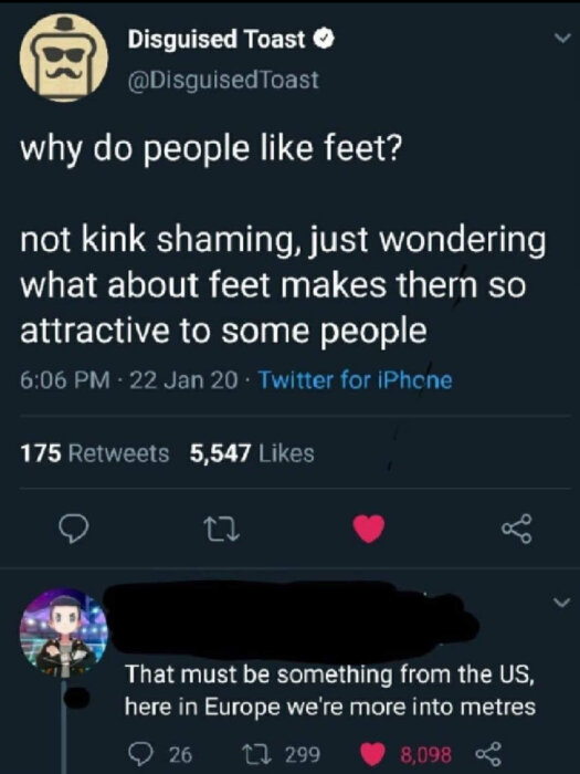 Tweet som frågar varför folk gillar fötter, följt av ett svar som gör en ordlek om skillnaden mellan fot och meter i Europa.