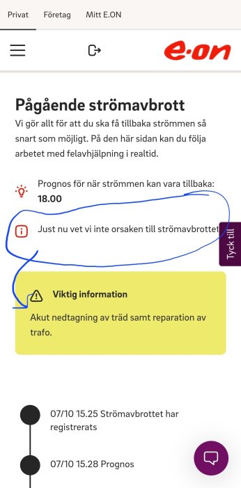 E.ON-webbsida med information om strömavbrott och osäker orsak, prognos 18:00. Varning om akut trädnedtagning och reparation pågår.
