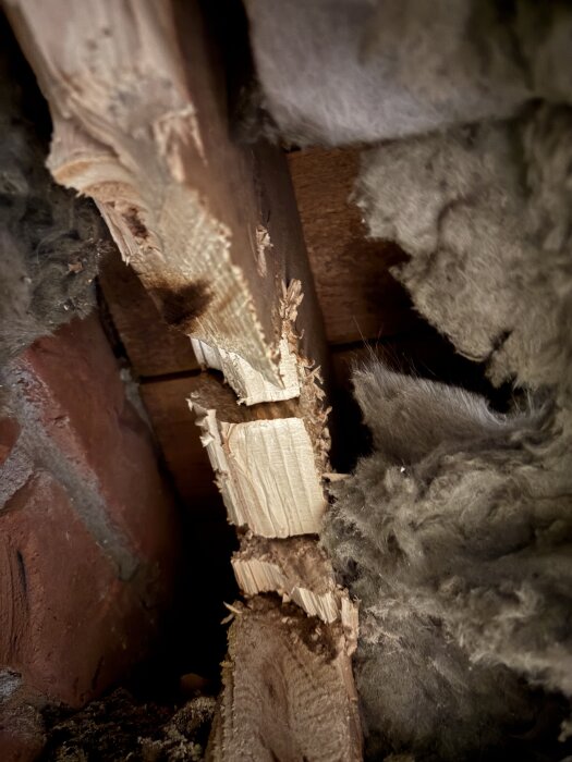 Trasig träregel inuti en vägg, omgiven av isolering och tegel. Regeln är avskuren som del av ventilationsinstallation.