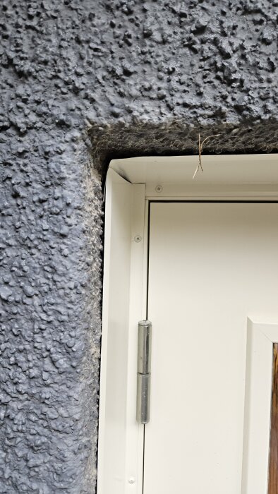 Närbild på en nyinstallerad vit källardörr omgiven av plåt, med ett ojämnt hörn mot en grå, putsad vägg.