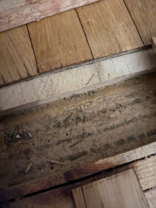 Gammaldags undergolv i trä med fuktskador, delvis exponerade under parkettgolv i ett 60-tals radhus.