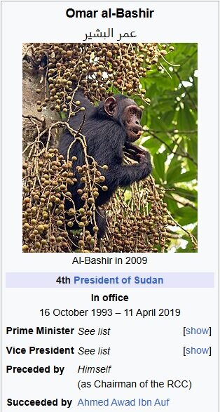 Ange Wikipedia-sida för Omar al-Bashir med en bild av en schimpans i ett träd.