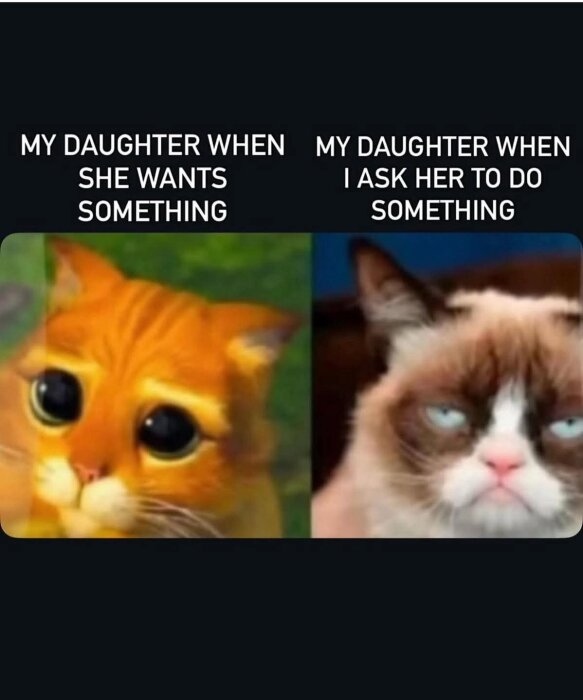 Två bilder av katter: en söt tecknad katt med stora ögon och en sur katt med grumpy uttryck, tillsammans med texter om när dottern vill ha något eller ska göra något.
