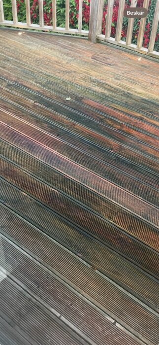 En trall med grönaktig missfärgning och trästruktur, omgiven av staket och växtlighet i bakgrunden.