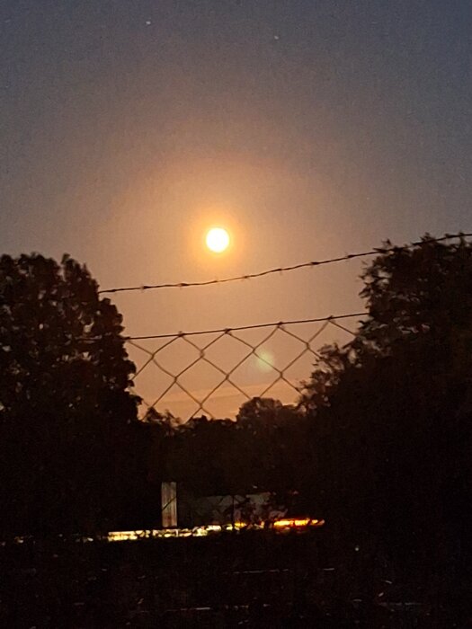 Månen lyser klart på natthimlen över landskapet, inramad av träd och ett staket i förgrunden.