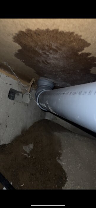 Fuktig träskiva med vattenfläckar runt toalettens avloppsrör i krypgrund. Grått PVC-avloppsrör, jord och cement syns också.