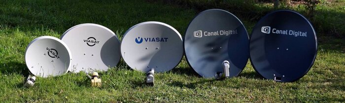 Fem parabolantenner av olika storlekar och märken (Viasat och Canal Digital) står på en gräsplan, redo för jämförelse av mottagningsteknik.