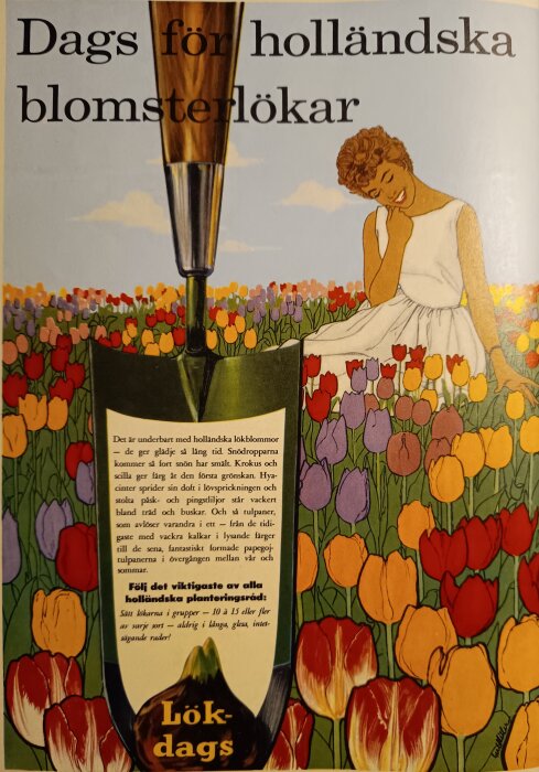 Retroreklam från 1961 för holländska blomsterlökar, visar en kvinna i en blomsteräng med text om plantering av lökar.