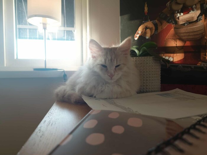 Vit kattunge sover på skrivbord med papper, bredvid en lampa och dekoration.