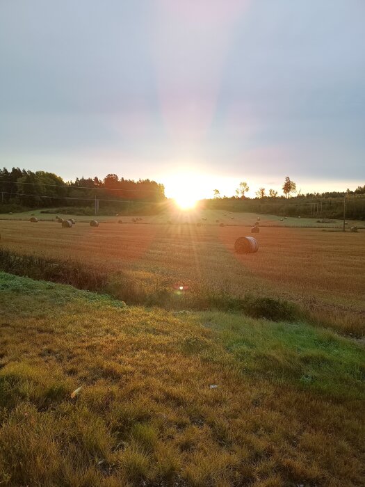 Soluppgång över ett fält med halmbalar på en tidig höstmorgon i Eskilstuna.