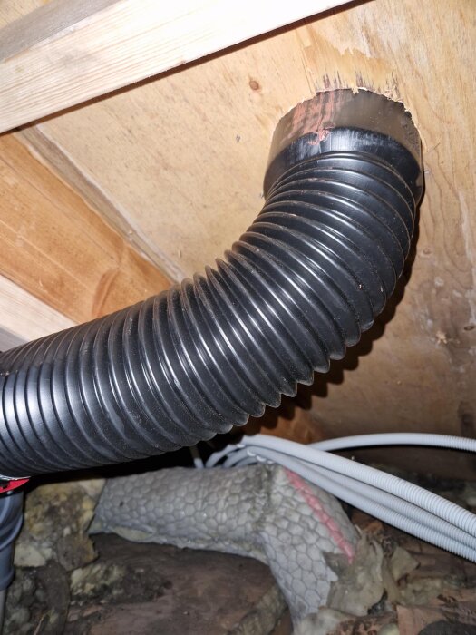 En svart korrugerad slang som går genom en öppning i plywood på vinden, med isolering och andra kablar synliga bakom.