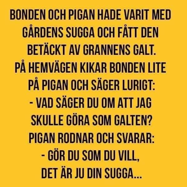 Text i bild med humoristisk dialog mellan en bonde och en piga om att bete sig som en galt, gula bakgrund.