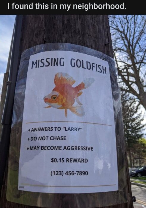 Efterlysning av guldfisk vid namn "Larry" på elstolpe, beskrivs som potentiellt aggressiv, med telefonnummer och belöning på $0.15.