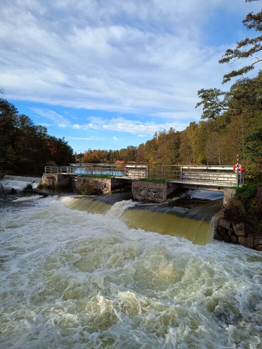 Högt vattenstånd i en å med kraftigt flödande vatten över en damm, omgiven av höstklädda träd.