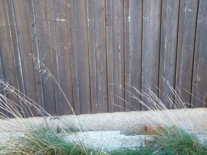 Utsida av en husvägg i trä med en betonggrund och hög vildväxande gräs nedtill.