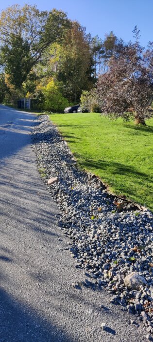 Grus längs en vägkant har spritts ut och gräsmattan bredvid är påverkad. Träd syns i bakgrunden, tillsammans med bilar.