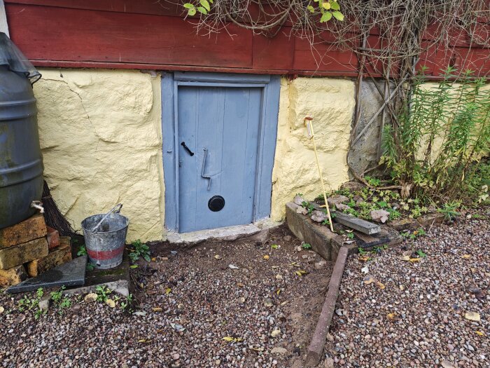 Blå dörr till källare omgivet av gulputsad vägg, grus framför, växtlighet och en hink, murad kant med några plattor och en mätsticka.