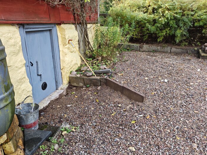 Blå källardörr med gul vägg, gröna buskar i bakgrunden och grusad gårdsplan med en röd/vit hink nära ett stuprör.