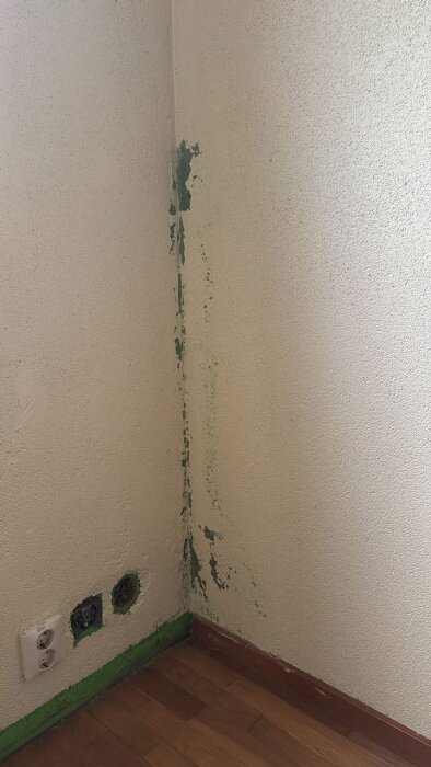 Avflagnad vit färg och gröna rester på vägg i källarhörn, nära två elektrikerdosor och golvsockel.