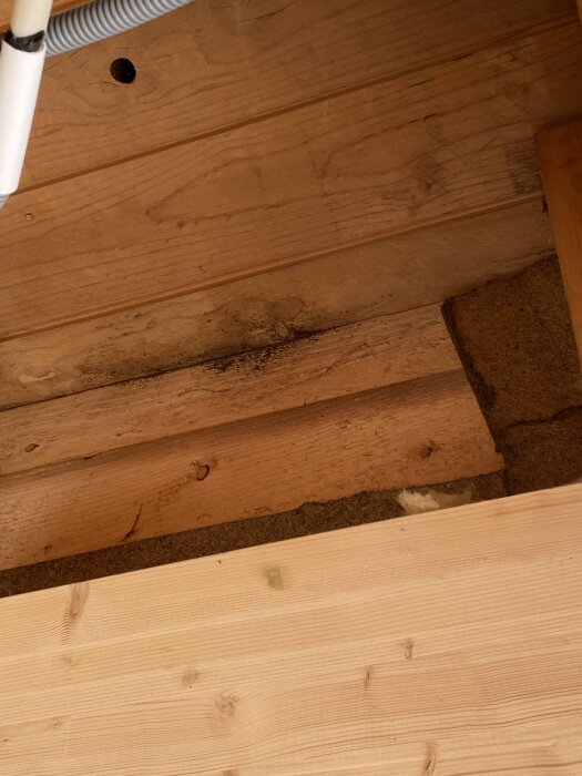 Mögelangrepp på träskivor i innertak under renovering; svart isolering och fuktskador synliga.
