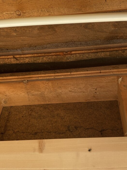 Svart mögel och skadad isolering synliga i ett öppet innertak med träbjälkar.