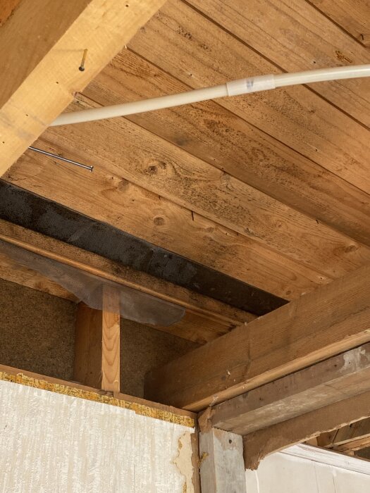 Svart mögelangrepp synligt på insidan av ett innertak efter att isoleringen tagits bort, med träbjälkar och synliga kablar.