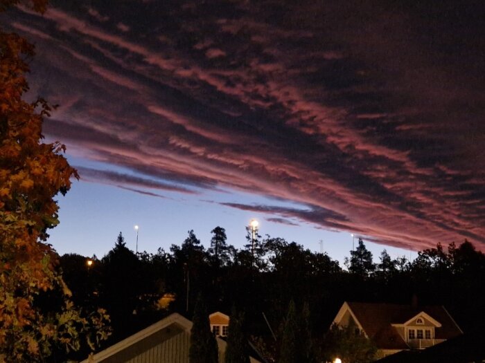 Magiskt morgonljus över ett bostadsområde med hus och träd, dramatiska moln i rosa och lila vid gryning.