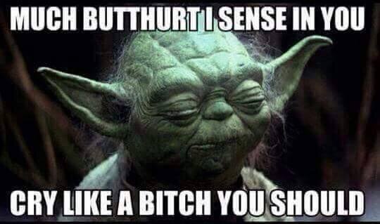 Visar Yoda med text "Much butthurt I sense in you, cry like a bitch you should".