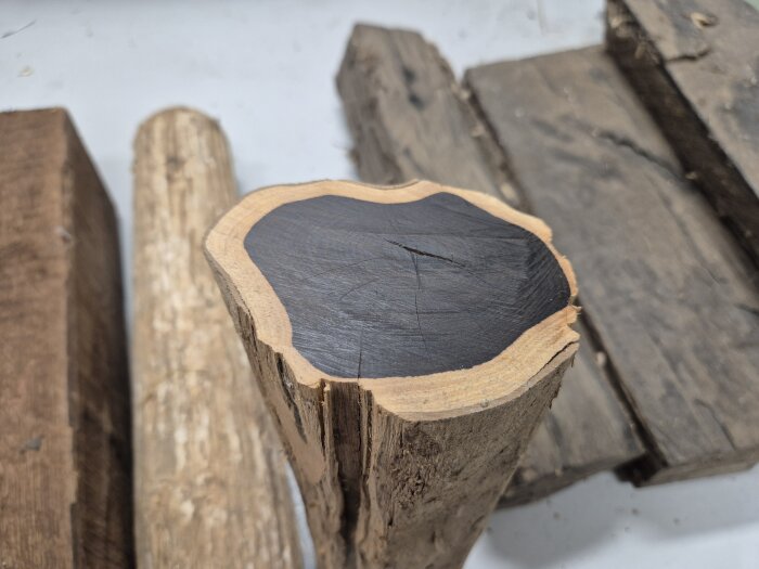 Närbild på flera trästycken, varav ett visar en stock med svart kärna synlig och resten av trästyckena i olika färger och texturer.