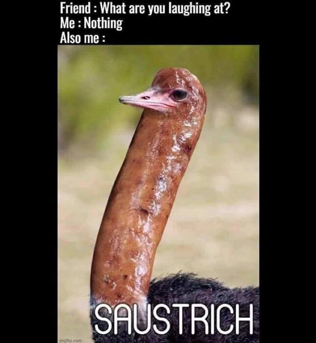 Bild på en struts med hals som är photoshopad till att likna en korv, text ovan lyder "Friend: What are you laughing at? Me: Nothing Also me: SAUSTRICH".