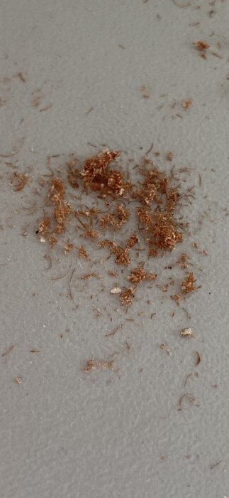 Små bruna spån och skräp på en yta, hittat i en skafferilåda. Fråga om källan till skräpet.