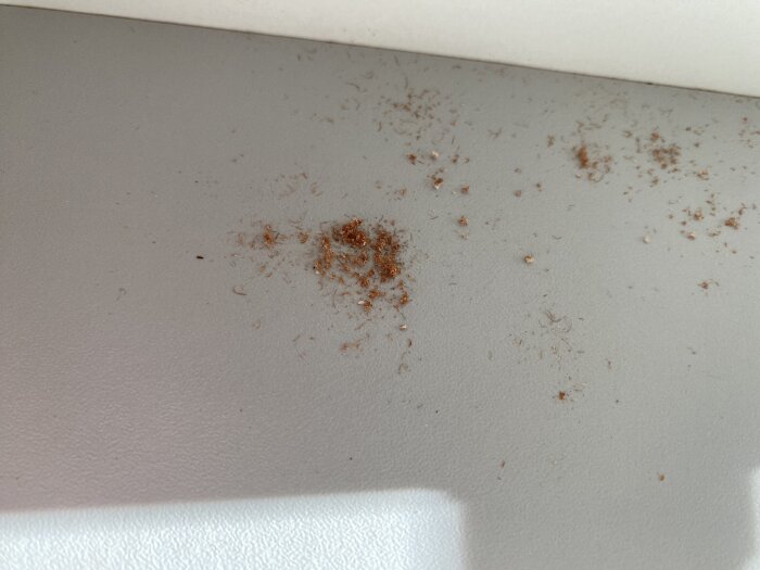 Bruna smulor och spån på botten av en tom skafferilåda i sommarstugan, potentiellt orsakade av insekter eller skadedjur.