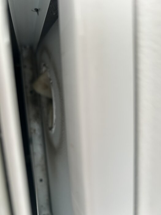 Bild av utrymmet bakom ett radiator, där något som liknar isolering syns i det smala utrymmet.