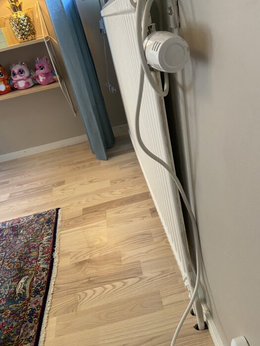 Radiator med termostat och synligt rör i ett rum med trägolv och en matta.