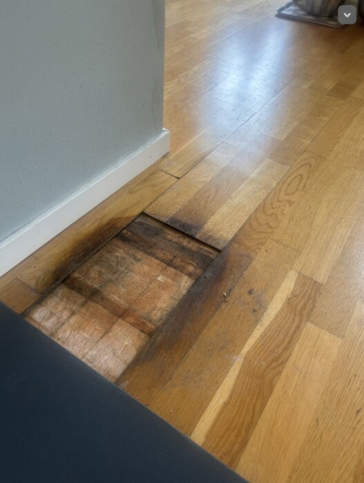 Vattenskada i parkettgolv nära vägg, planka borttagen. Synlig fuktskadad yta där blomma tidigare placerats.