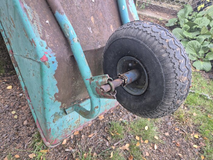 Gammal skottkärra med avskavd färg och ett punkterat hjul i närbild, omgiven av gräs och löv.