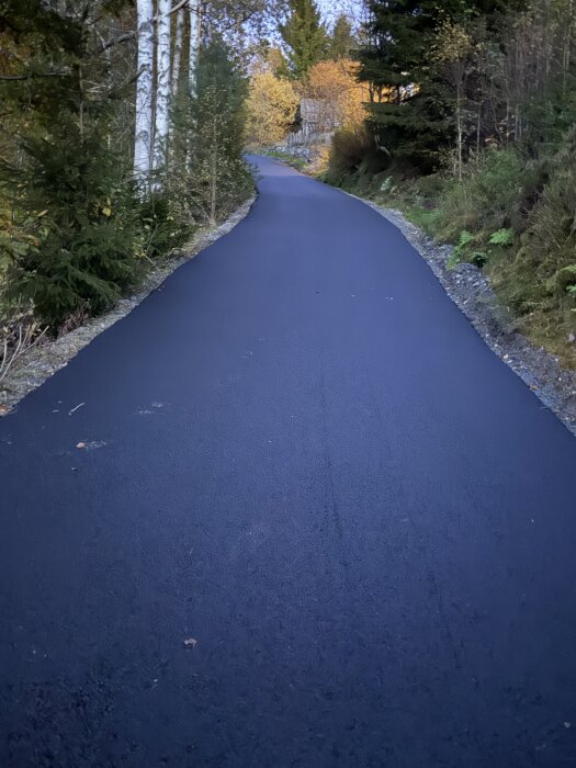 Nyasfalterad gångväg omgiven av träd, med höstlöv i bakgrunden.