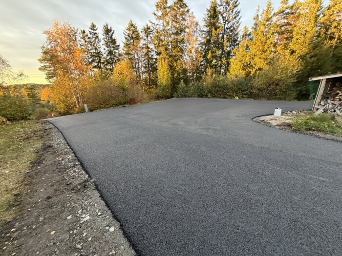 Nyasfalterad uppfart omgiven av träd med höstlöv.