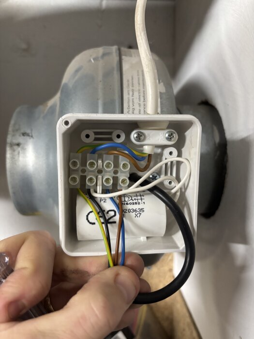 Elektrisk kopplingsdosa med flera kablar och en vit cylinder inuti, hålls av en persons hand.