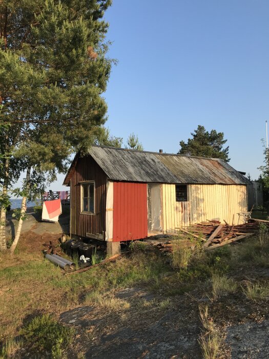 Gammalt, falurött träskjul med slitna fönster, omgiven av gräs och buskar. En gran står intill. Byggmaterial ligger framför.