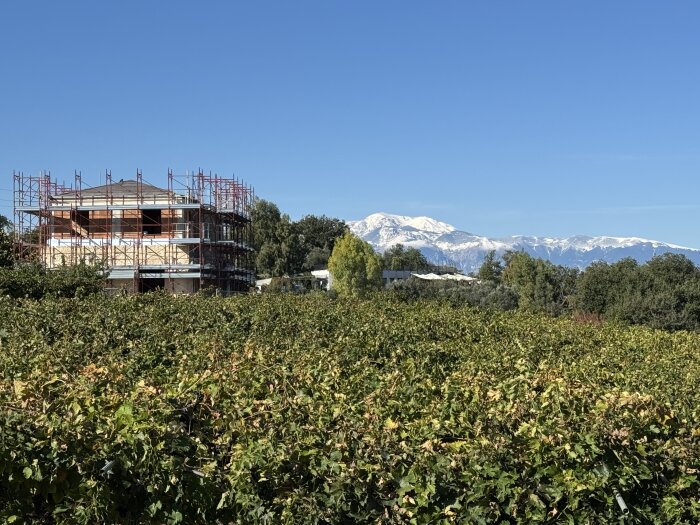 Bygget av ett hus med ställningar omgiven av grönska, med snötäckta berg i bakgrunden under en klarblå himmel.