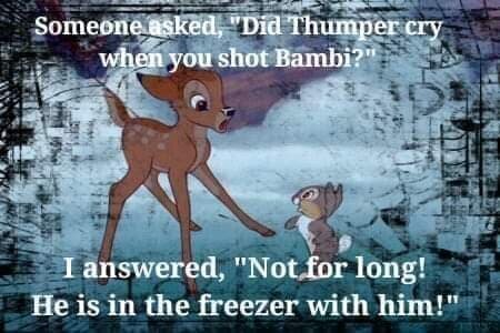 Tecknat rådjur och kanin med text om att de båda hamnat i frysen efter att Bambi blivit skjuten.