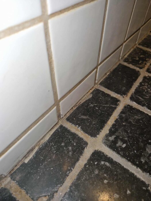 Badrumsgolv med svarta kakelplattor och vita väggplattor; fogarna mellan plattorna ser slitna ut.