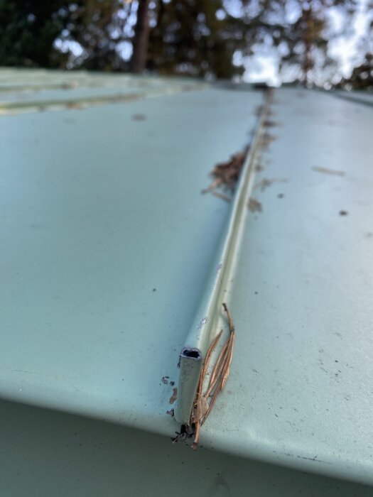 Närbild på ett grönt plåttak med en kant och barr som samlats vid kanten, nyfångat efter reparation av plåtfirma.