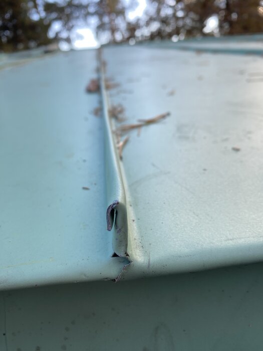 Närbild av ett nyligen falsat plåttak med synlig kant, omgiven av träd i bakgrunden.