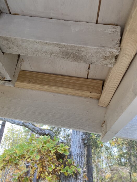 Närbild på nyligen utbytta och målade vindskivor med reparationer under ett tak, omgiven av höstlövverk.