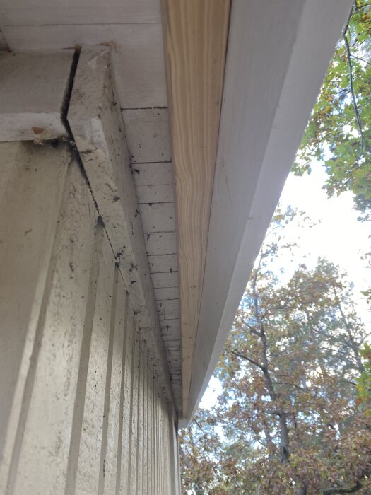 Närbild av takfotskant med nyligen bytta och målade vindskivor på ett hus, samt träd i bakgrunden.