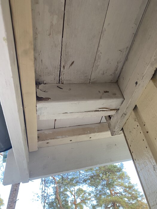 Nya vitmålade vindskivor och rensat hörn där det ruttna tagits bort efter plåtfirmans besök. Skog i bakgrunden och ljusblå himmel syns.