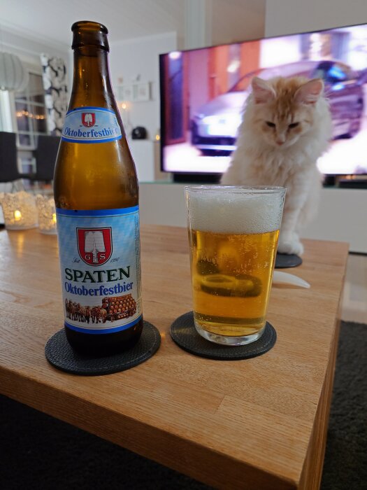 Flaska och glas med Spaten Oktoberfestbier på ett bord, en katt observerar i bakgrunden.