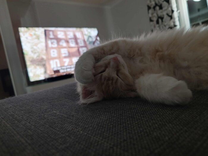 En orange kattunge sover på rygg med ena tassen över ansiktet på en soffa framför en TV.